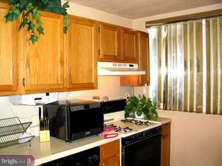 7926 Temple Road Philadelphia, PA 19150 - Photo 2 of 6 Gallery Image 2