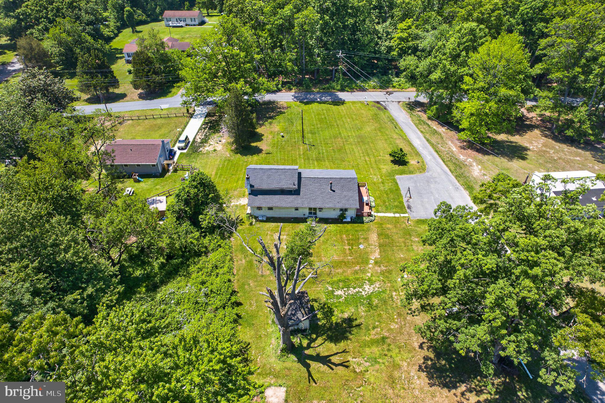 607 Dembytown Road, Unit B Joppa, MD 21085 - Photo 47 of 55 Spacious lot surrounded by greenery.