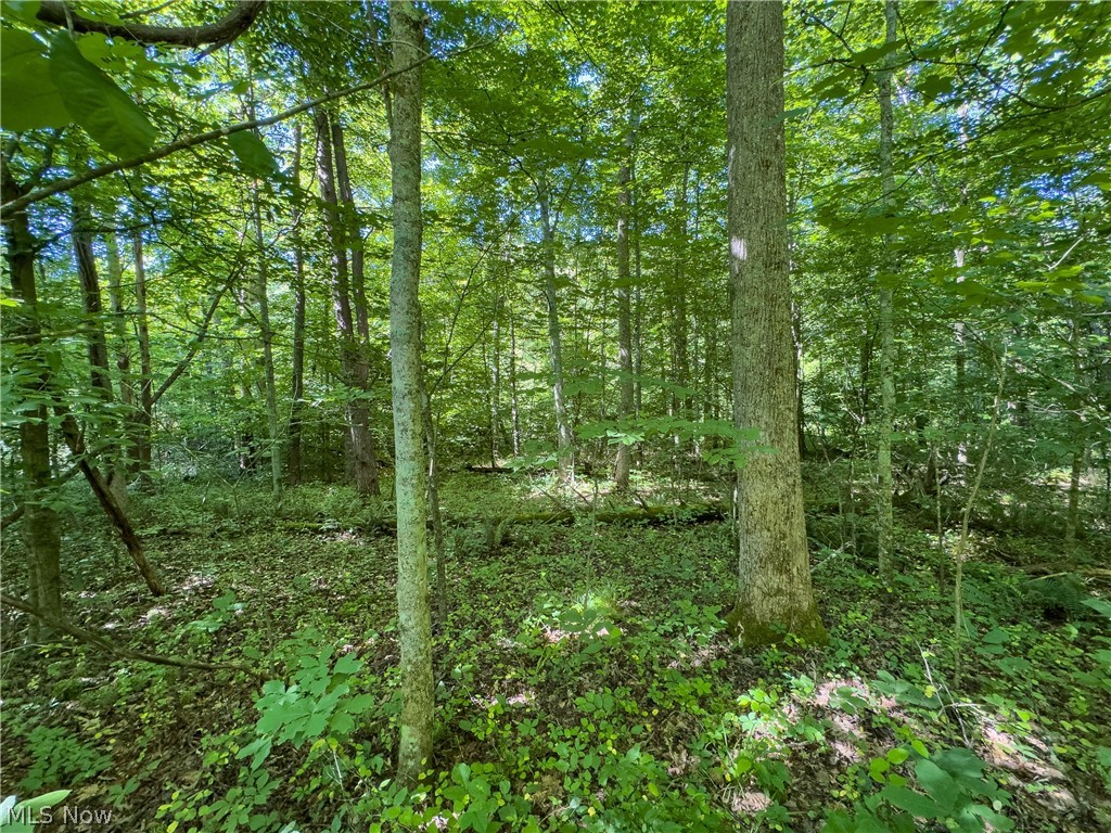 2 Jake Road Patriot, OH 45658 - Photo 7 of 20