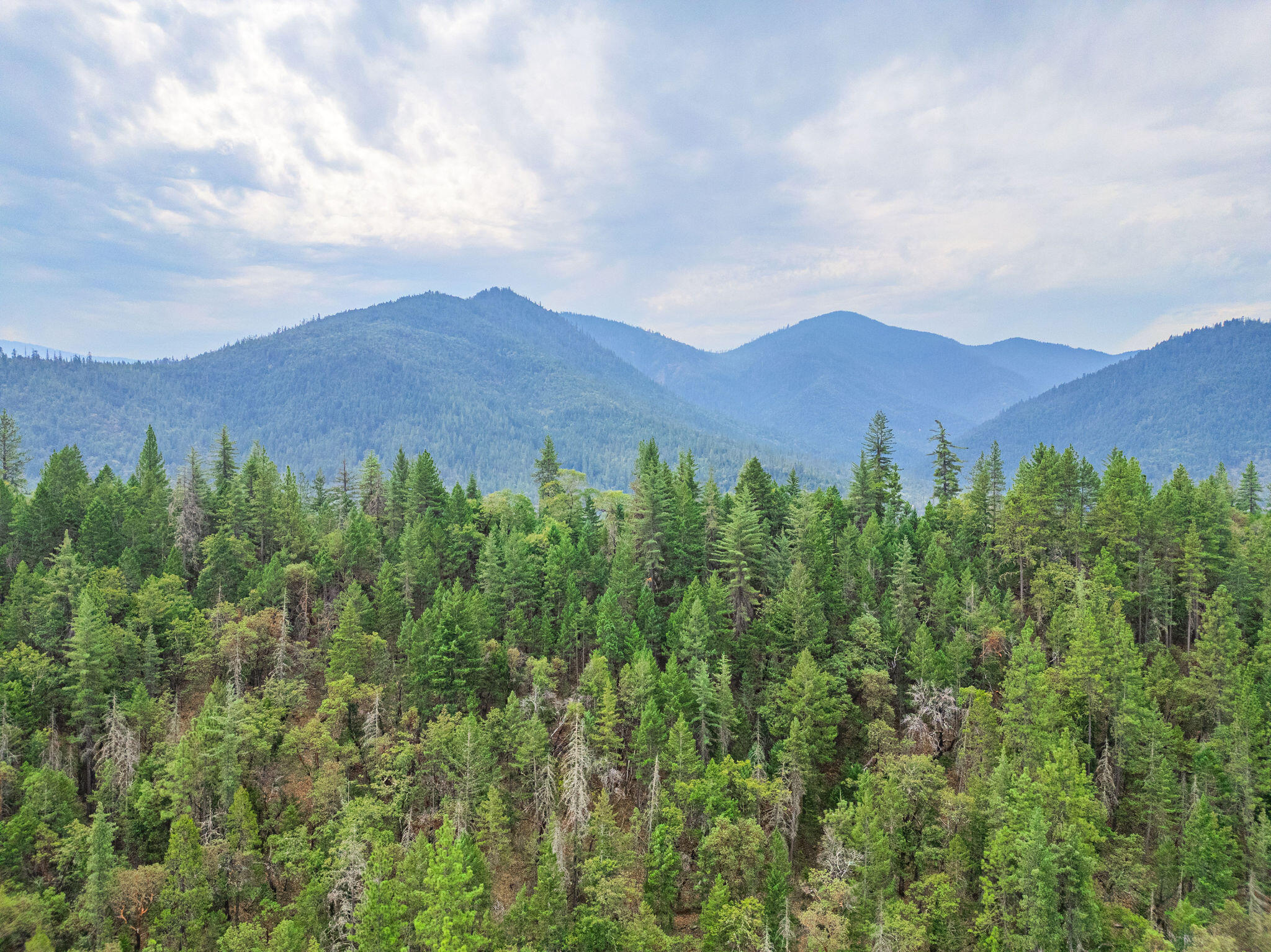 785 Keen Road Grants Pass, OR 97527 - Photo 81 of 87 HD-43