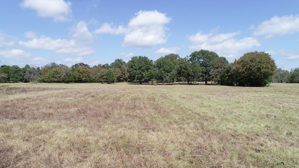 2703 AN County Road Tennessee Colony, TX 75861 - Photo 1 of 30