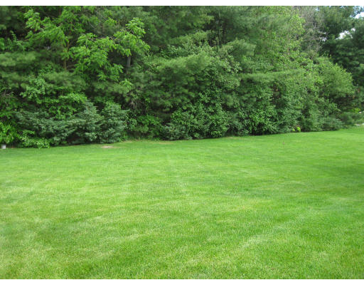 106 Harrington Road Waltham, MA 02452 - Photo 8 of 8 Gallery Image 8