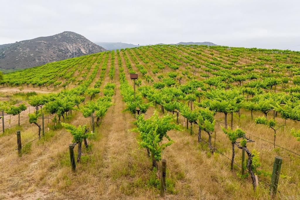 3913 Summer Way Escondido, CA 92025 - Photo 36 of 40 a view of lake