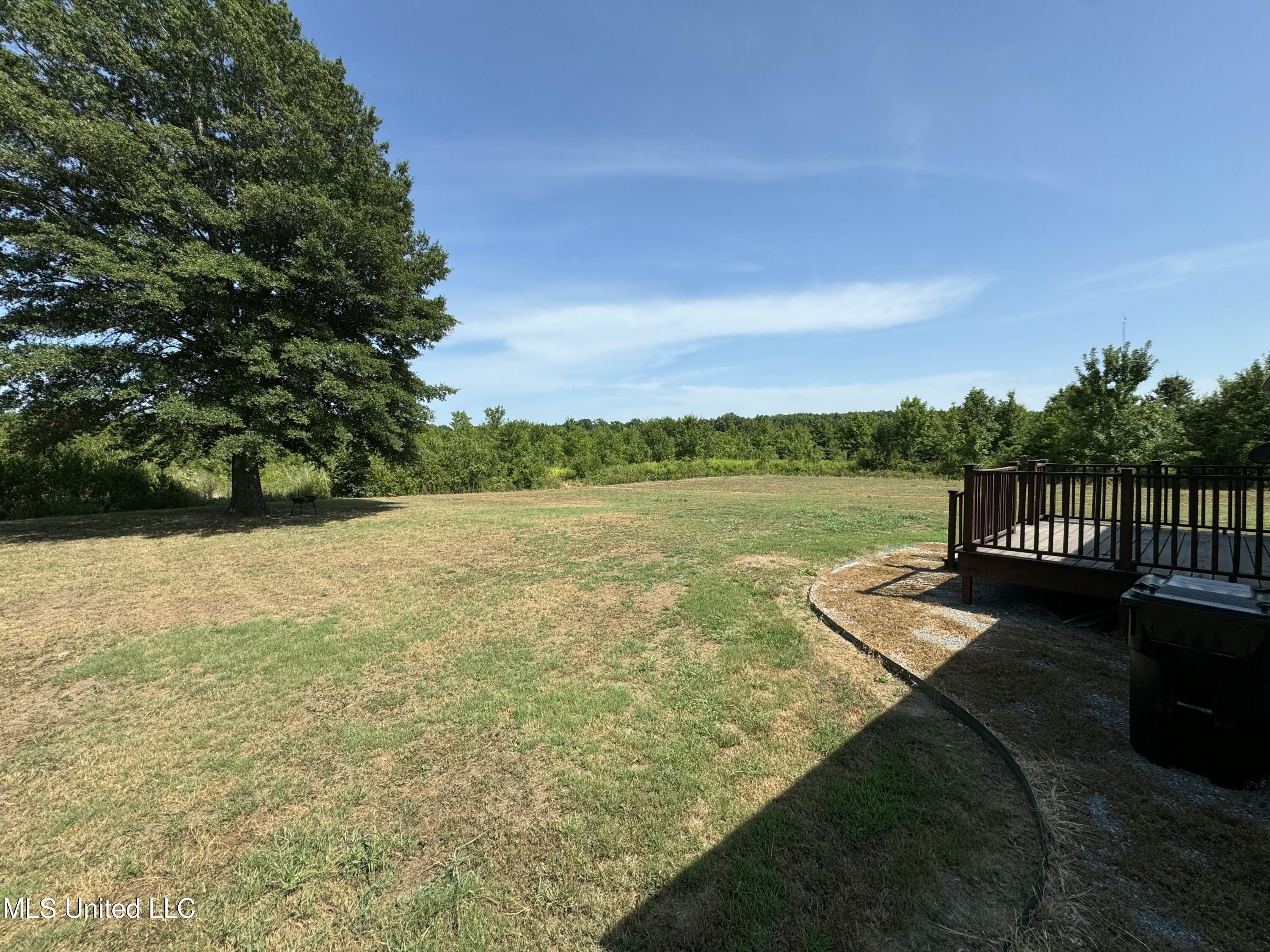 360 Fox Road Shaw, MS 38773 - Photo 9 of 15 IMG_5560~photo