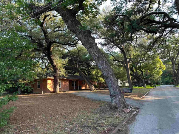 a view of a trees in a yard