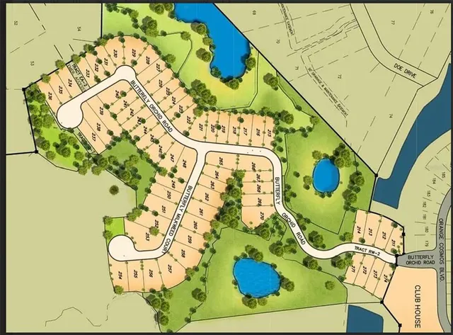 a bathroom with a sink and mirror with painted walls