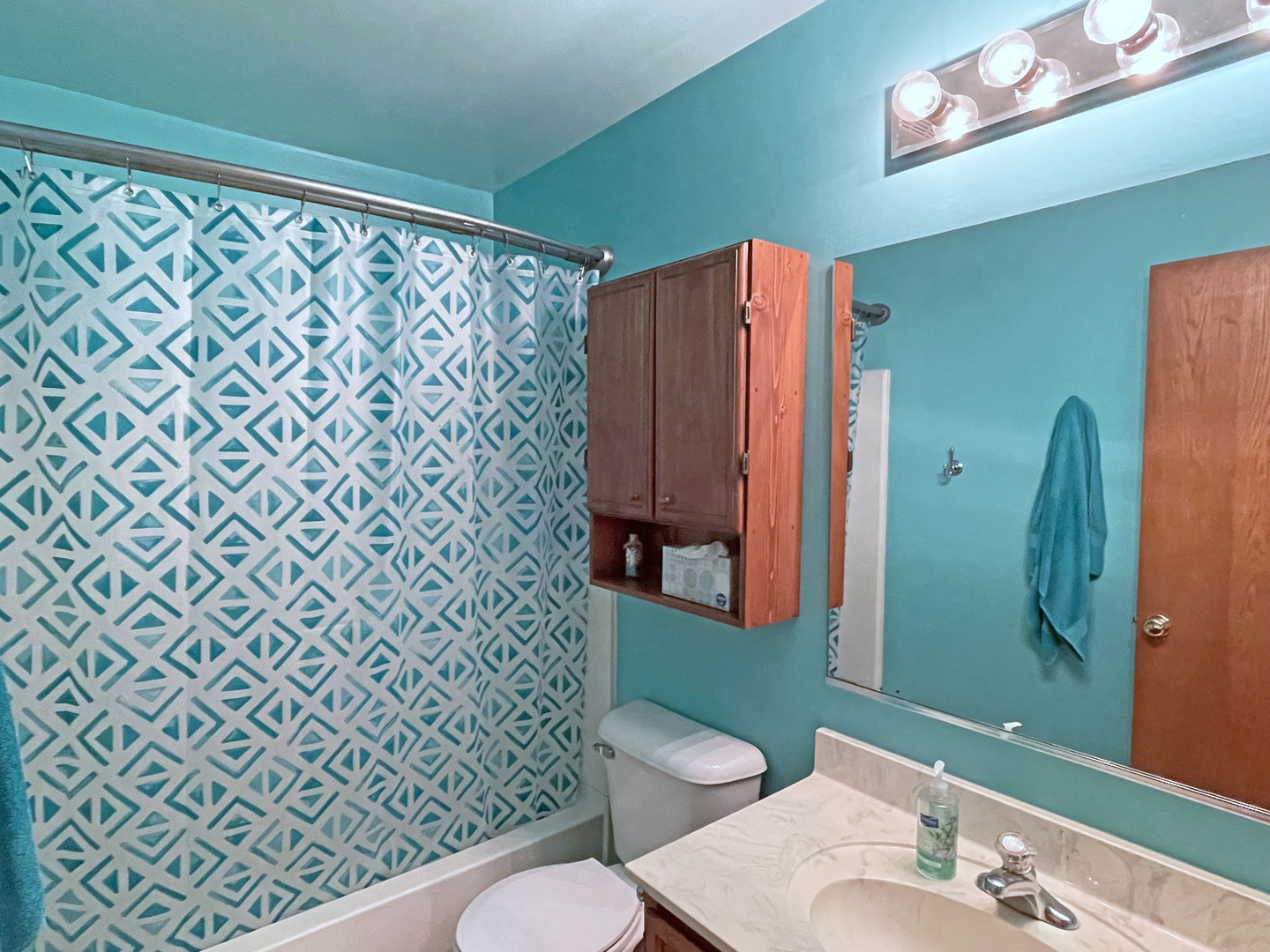 2048 Norwich Drive Bartlett, IL 60103 - Photo 19 of 25 a bathroom with a sink a toilet a mirror and shower curtain