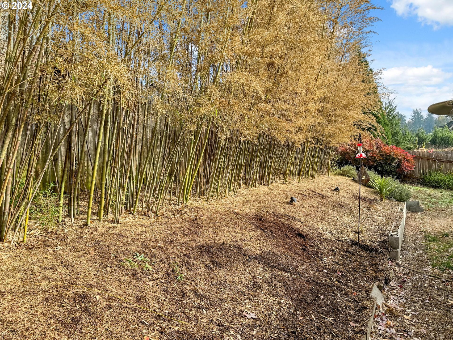 312 Division Street Northeast Silverton, OR 97381 - Photo 34 of 38