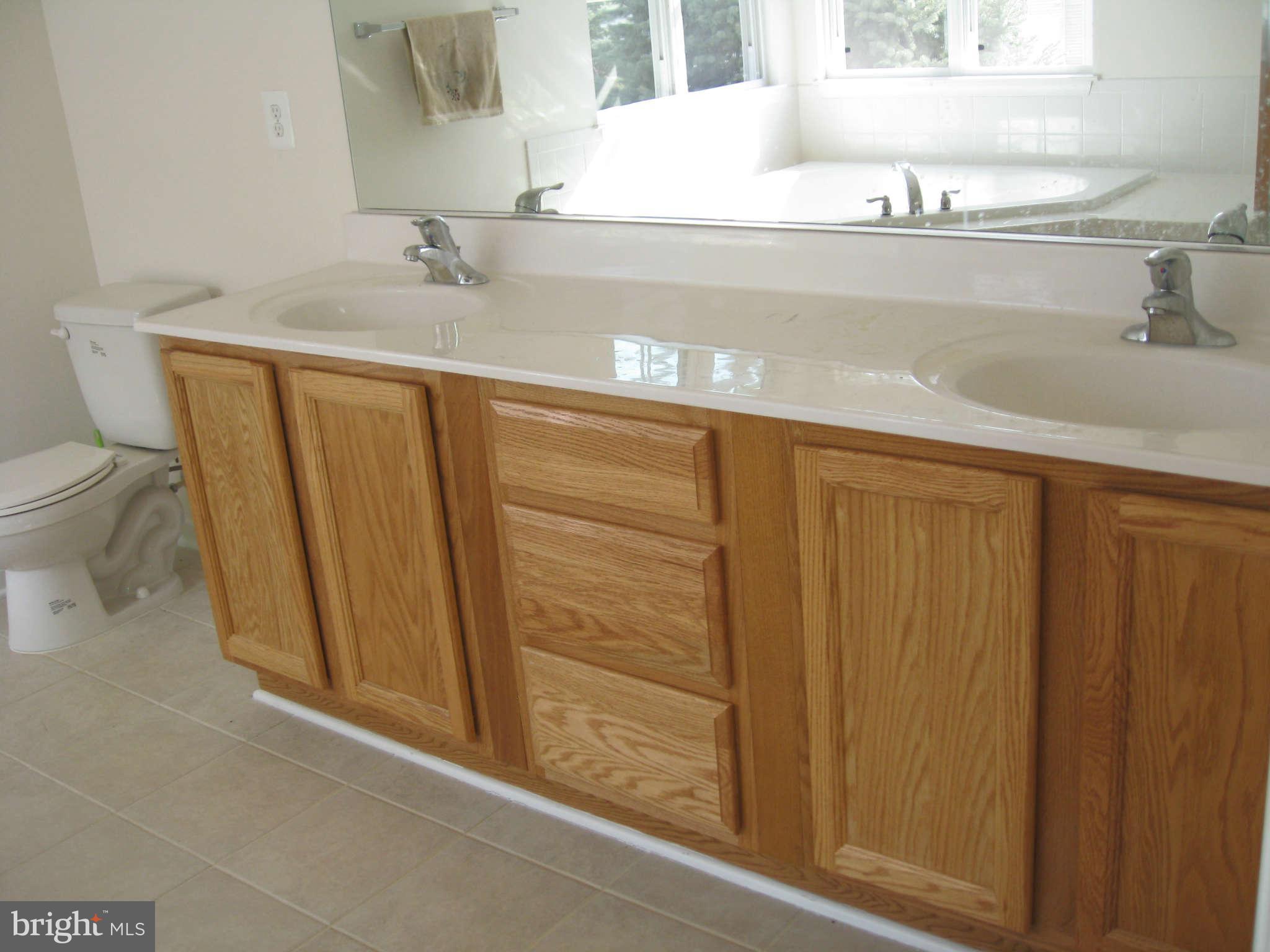 8024 Folkstone Road Manassas, VA 20111 - Photo 12 of 20 Bath (Master)