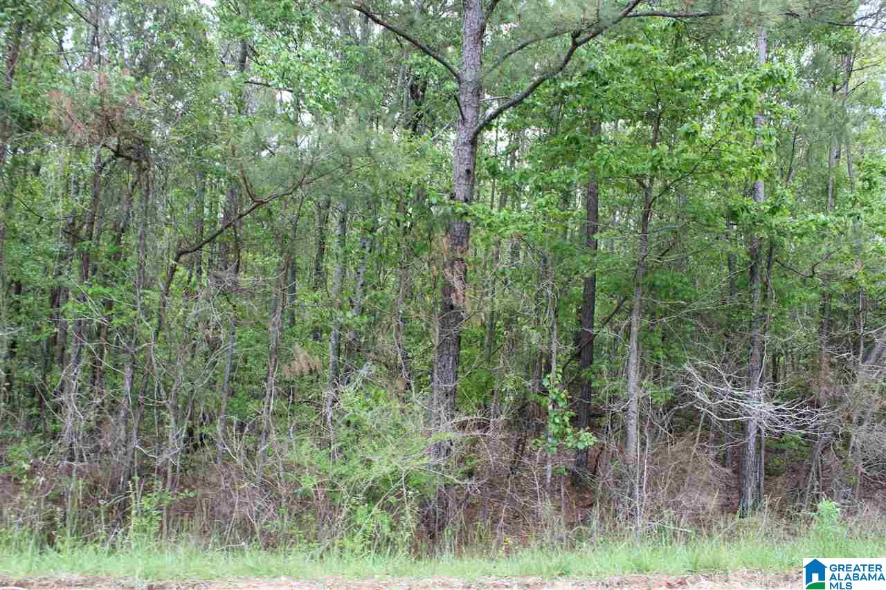 0 County Road 38 Jemison, AL 35085 - Photo 13 of 13