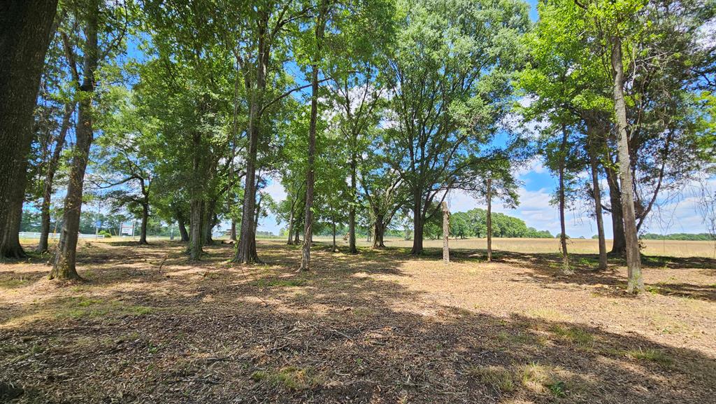 92 County Road 92 Slocomb, AL 36375 - Photo 54 of 58