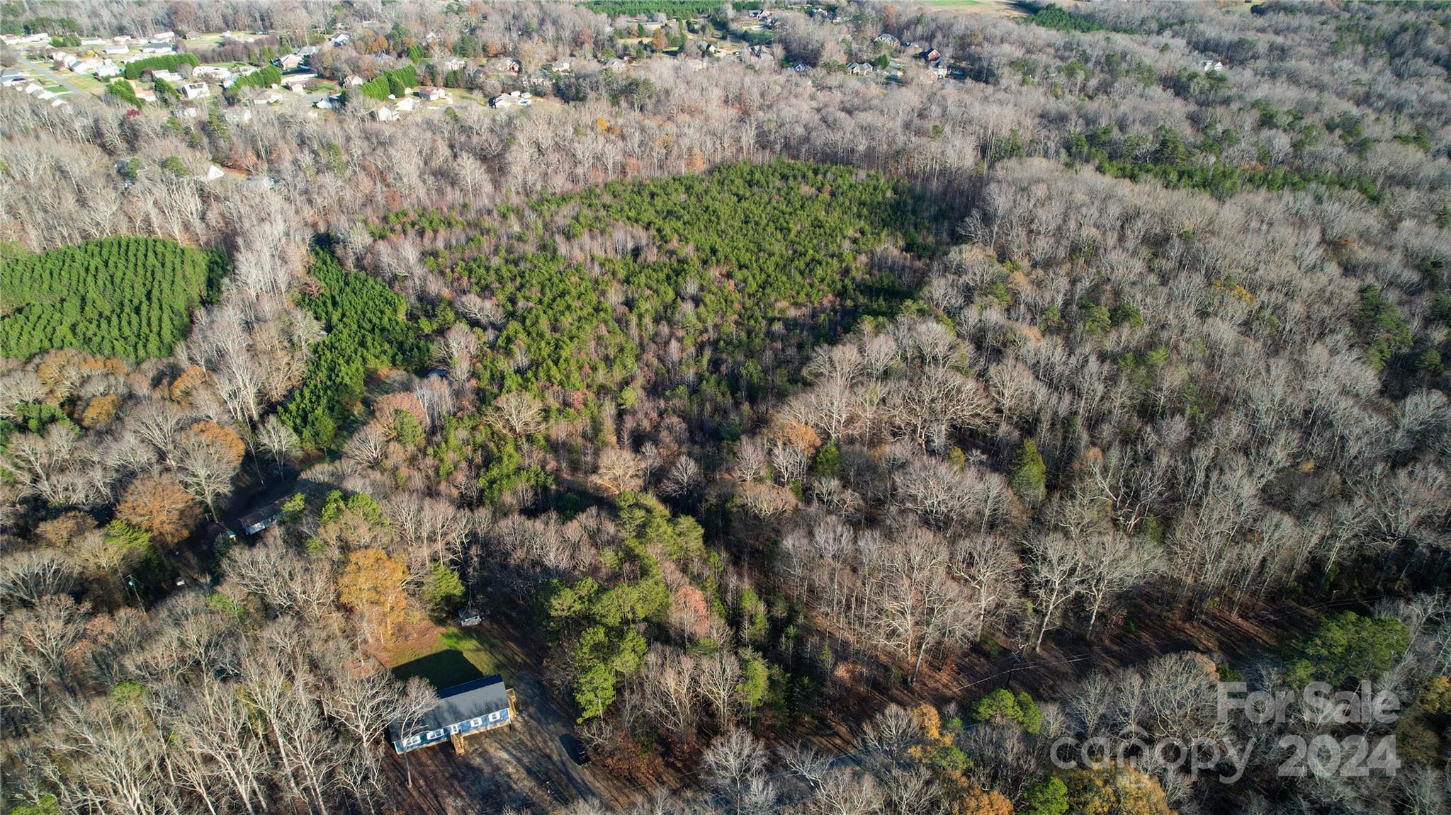0 Meek Road Gastonia, NC 28056 - Photo 11 of 12 a view of a forest with a tree