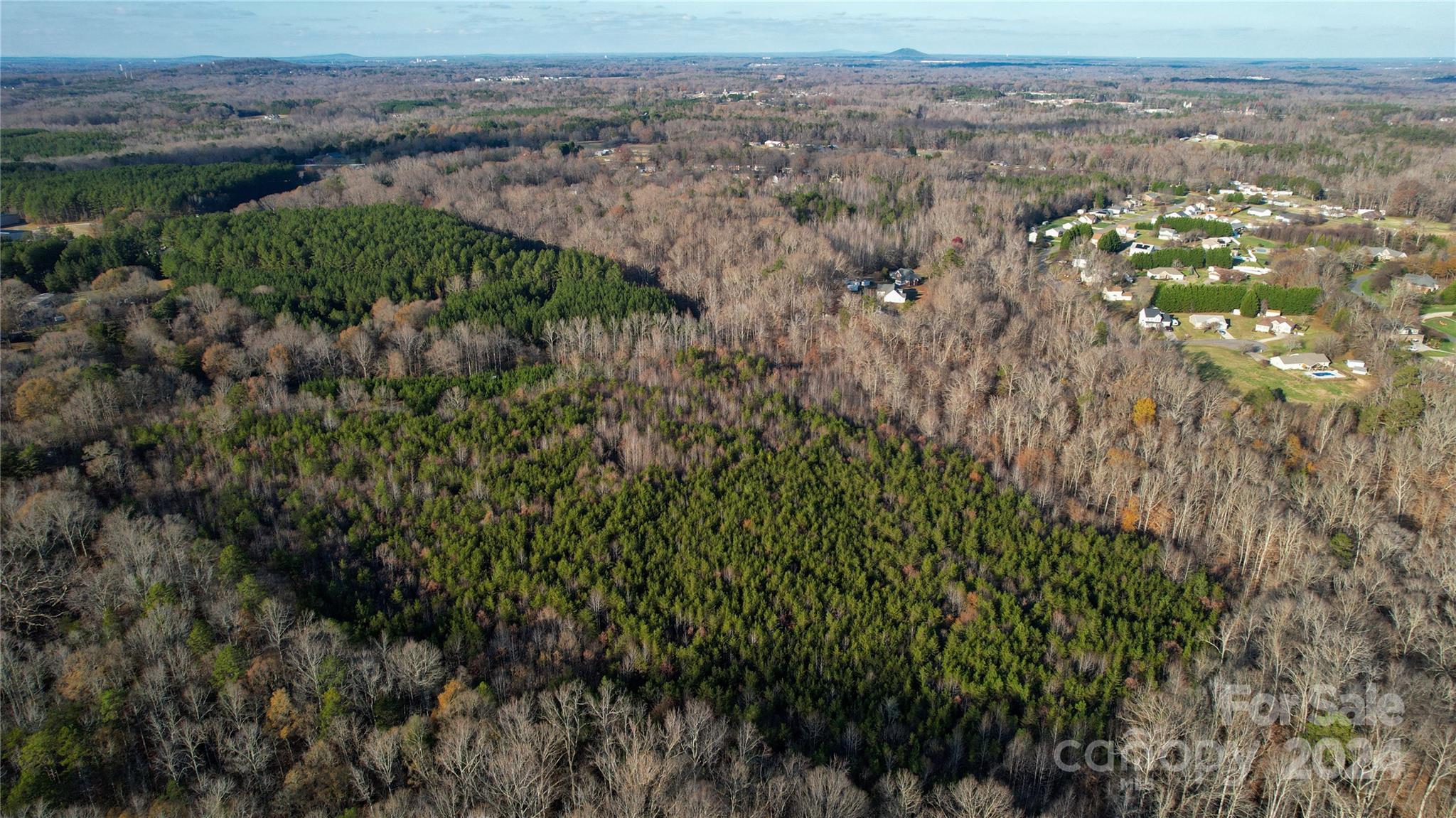 0 Meek Road Gastonia, NC 28056 - Photo 10 of 12 an aerial view of forest