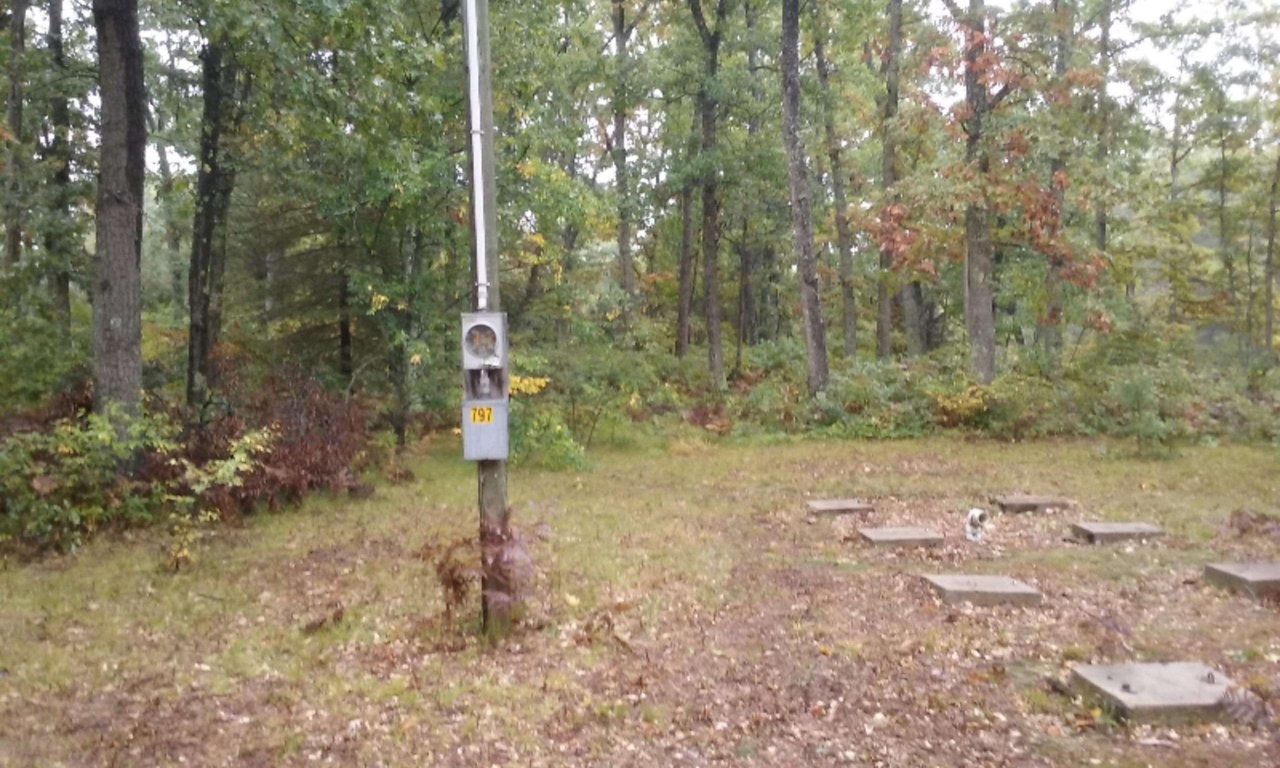 797 South Baker Road Wellston, MI 49689 - Photo 4 of 6 20181006_101705