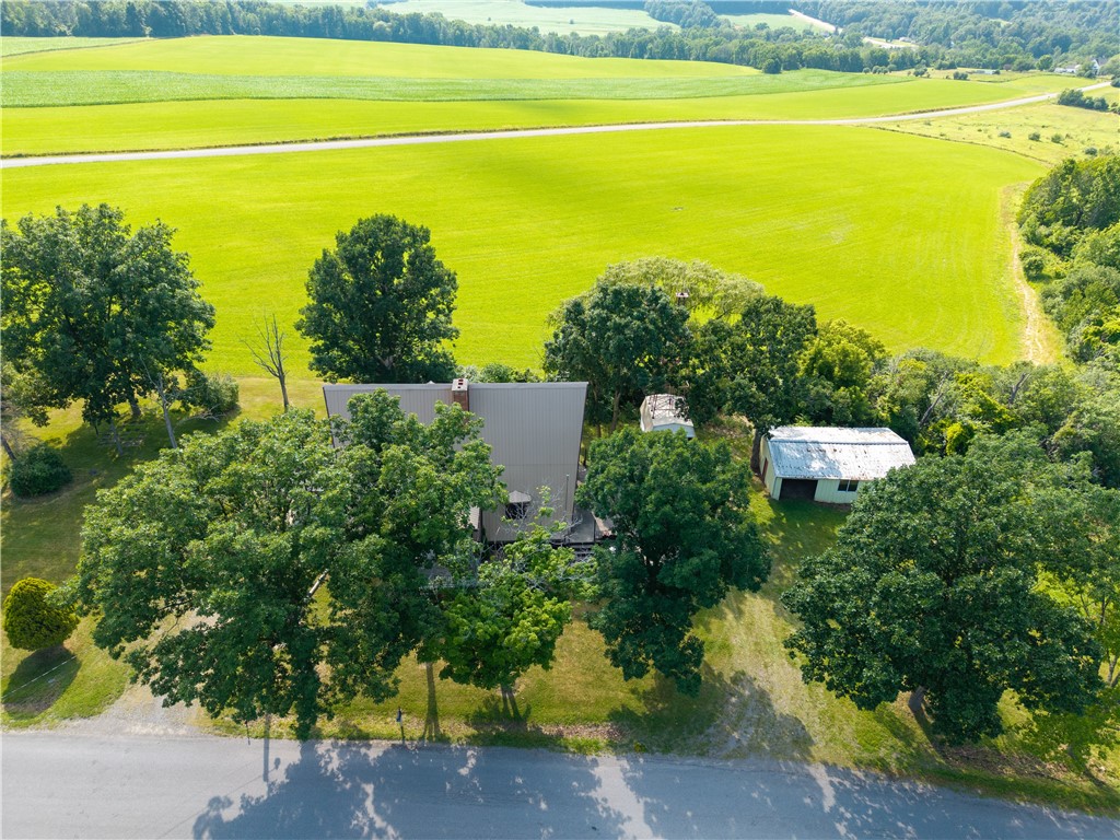 9876 J Jay Knapp Road Ossian, NY 14437 - Photo 49 of 50