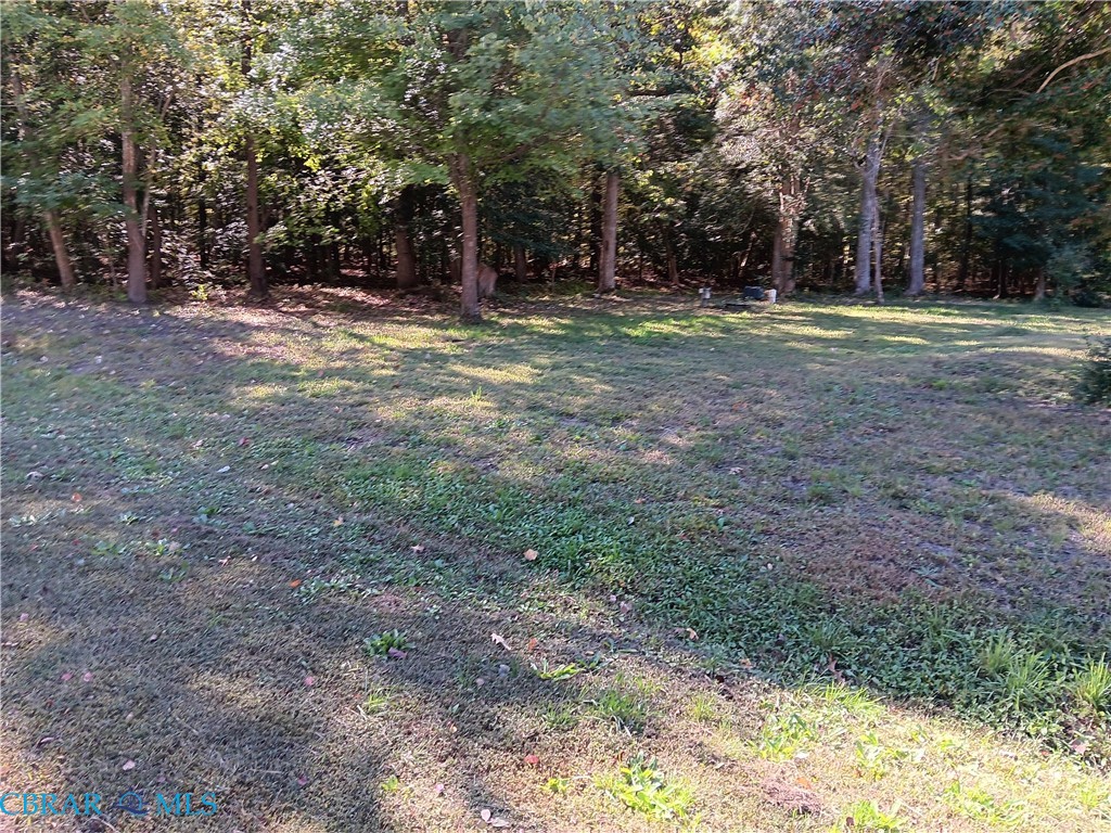 View of green lawn