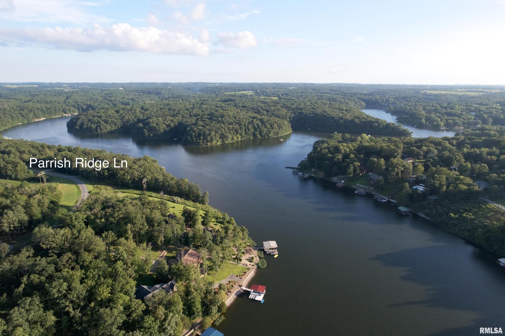 Lot 186-187 Parrish Ridge Lane Goreville, IL 62939 - Photo 12 of 23 a view of a lake with a mountain in the background