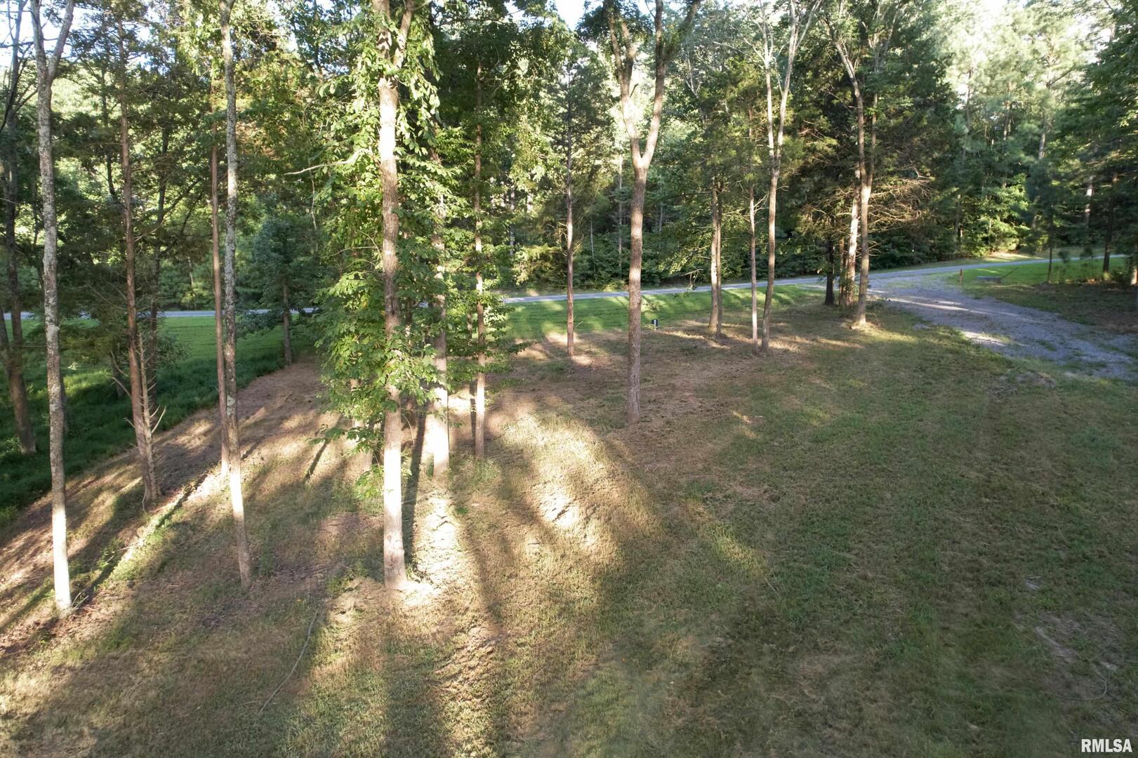 Lot 186-187 Parrish Ridge Lane Goreville, IL 62939 - Photo 14 of 23 a view of a yard with plants and trees