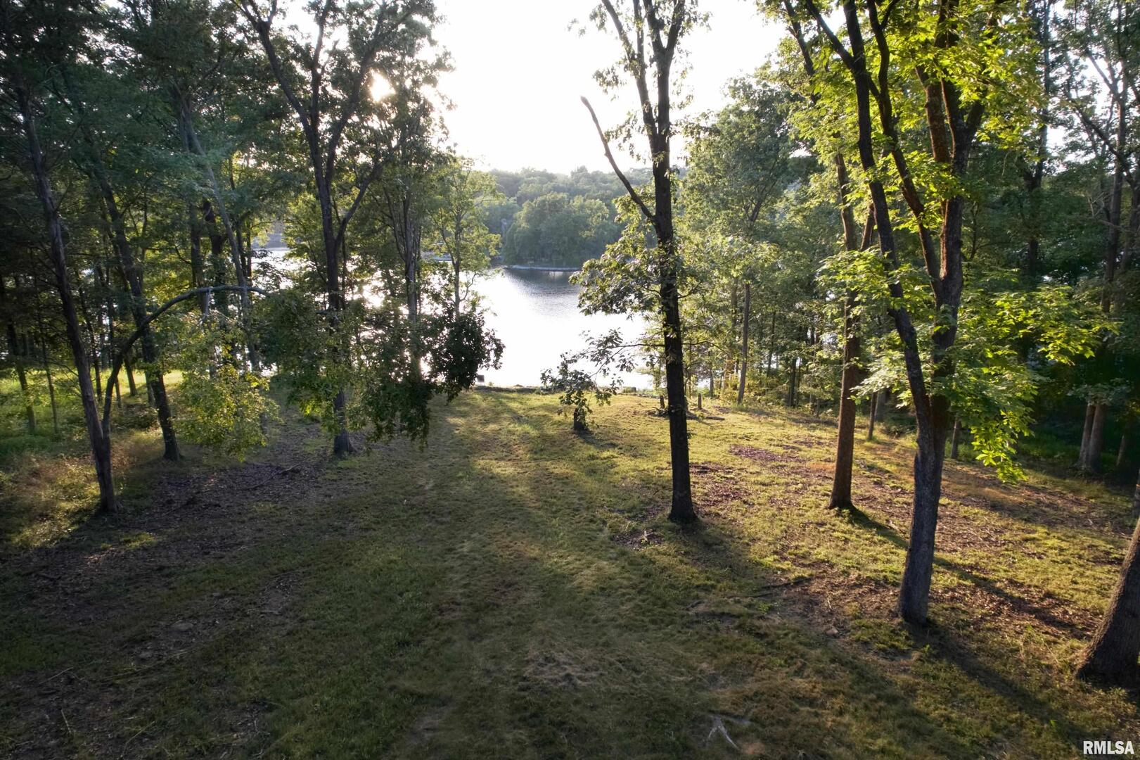 Lot 186-187 Parrish Ridge Lane Goreville, IL 62939 - Photo 16 of 23 a view of a yard with trees
