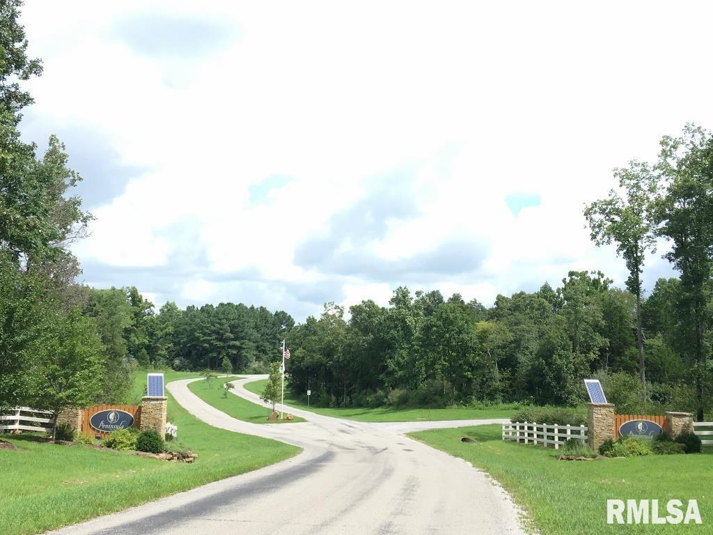 Lot 186-187 Parrish Ridge Lane Goreville, IL 62939 - Photo 19 of 23 a view of a house with a big yard potted plants and large tree