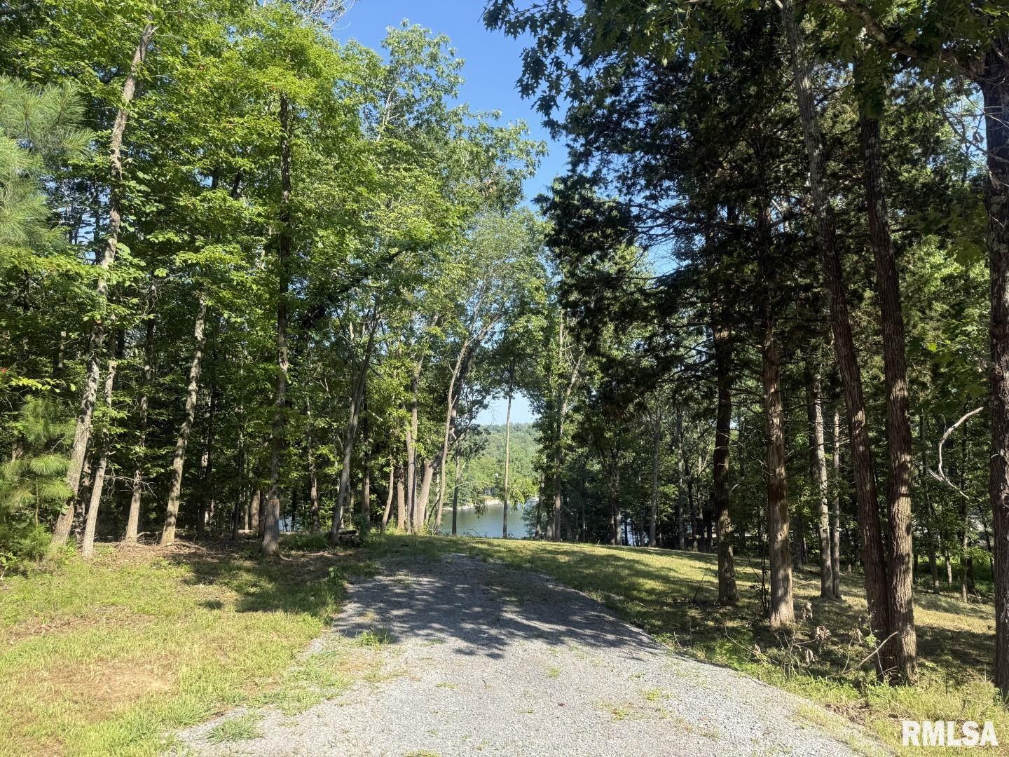 Lot 186-187 Parrish Ridge Lane Goreville, IL 62939 - Photo 2 of 23 a view of a yard with plants and trees