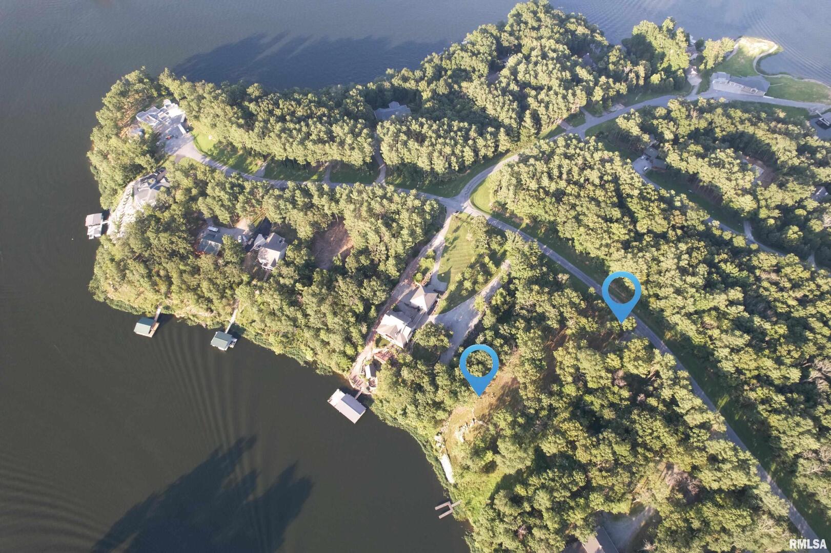 Lot 186-187 Parrish Ridge Lane Goreville, IL 62939 - Photo 23 of 23 a picture of a tree