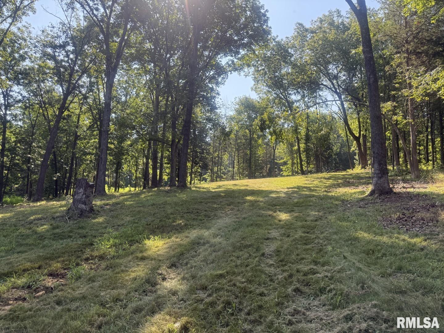 Lot 186-187 Parrish Ridge Lane Goreville, IL 62939 - Photo 7 of 23 a view of outdoor space with green space