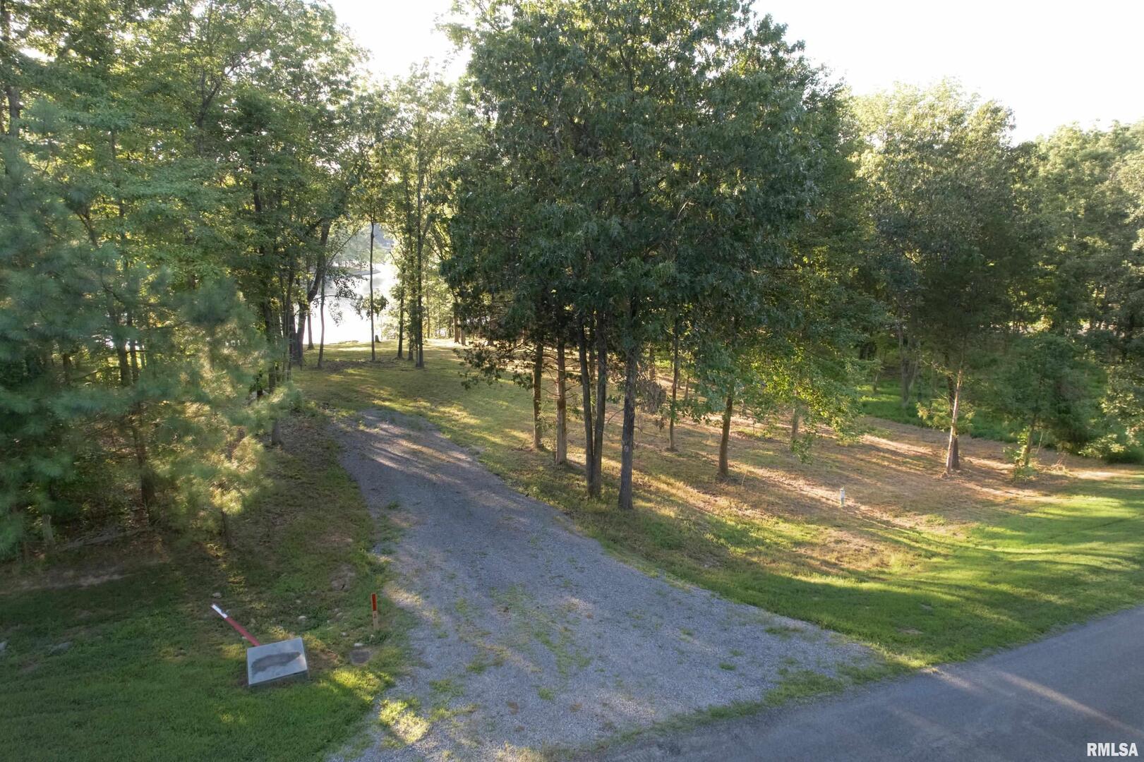 Lot 186-187 Parrish Ridge Lane Goreville, IL 62939 - Photo 9 of 23 a view of a yard with plants and trees