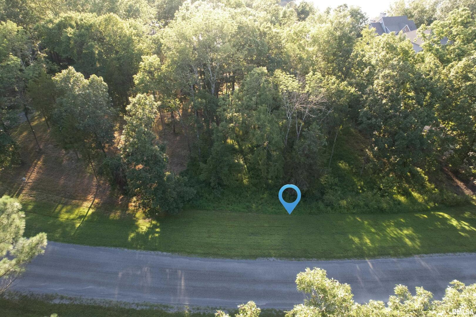 Lot 186-187 Parrish Ridge Lane Goreville, IL 62939 - Photo 10 of 23 a view of a tree in a yard