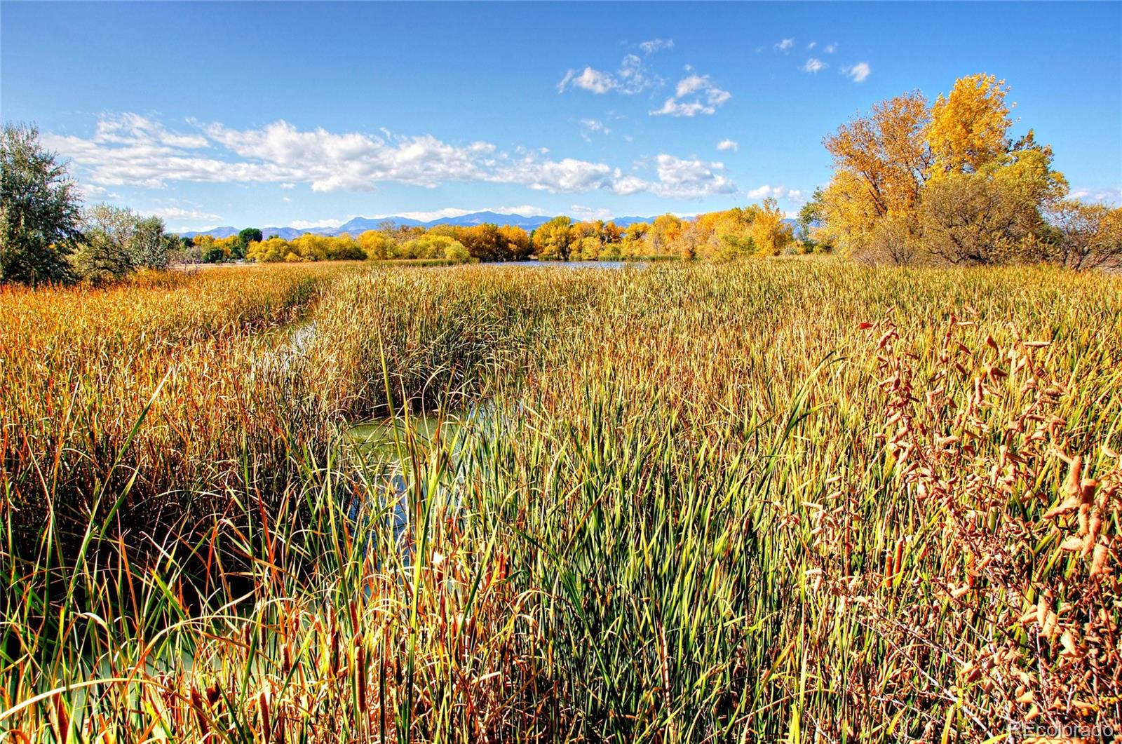 10187 West 38th Avenue Wheat Ridge, CO 80033 - Photo 45 of 50 a view of an ocean view