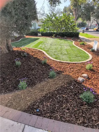 a view of a swimming pool with a yard and plants