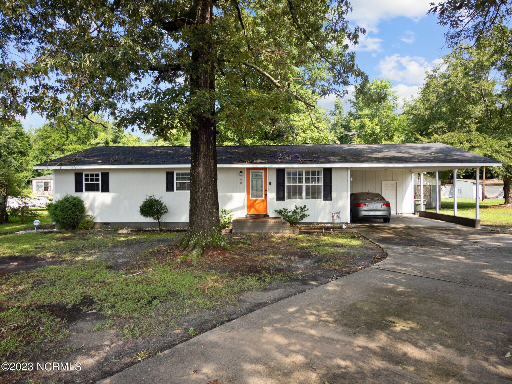 201 Turkey Branch Road Beulaville, NC 28518 - Photo 1 of 44 41-web-or-mls-P7087516