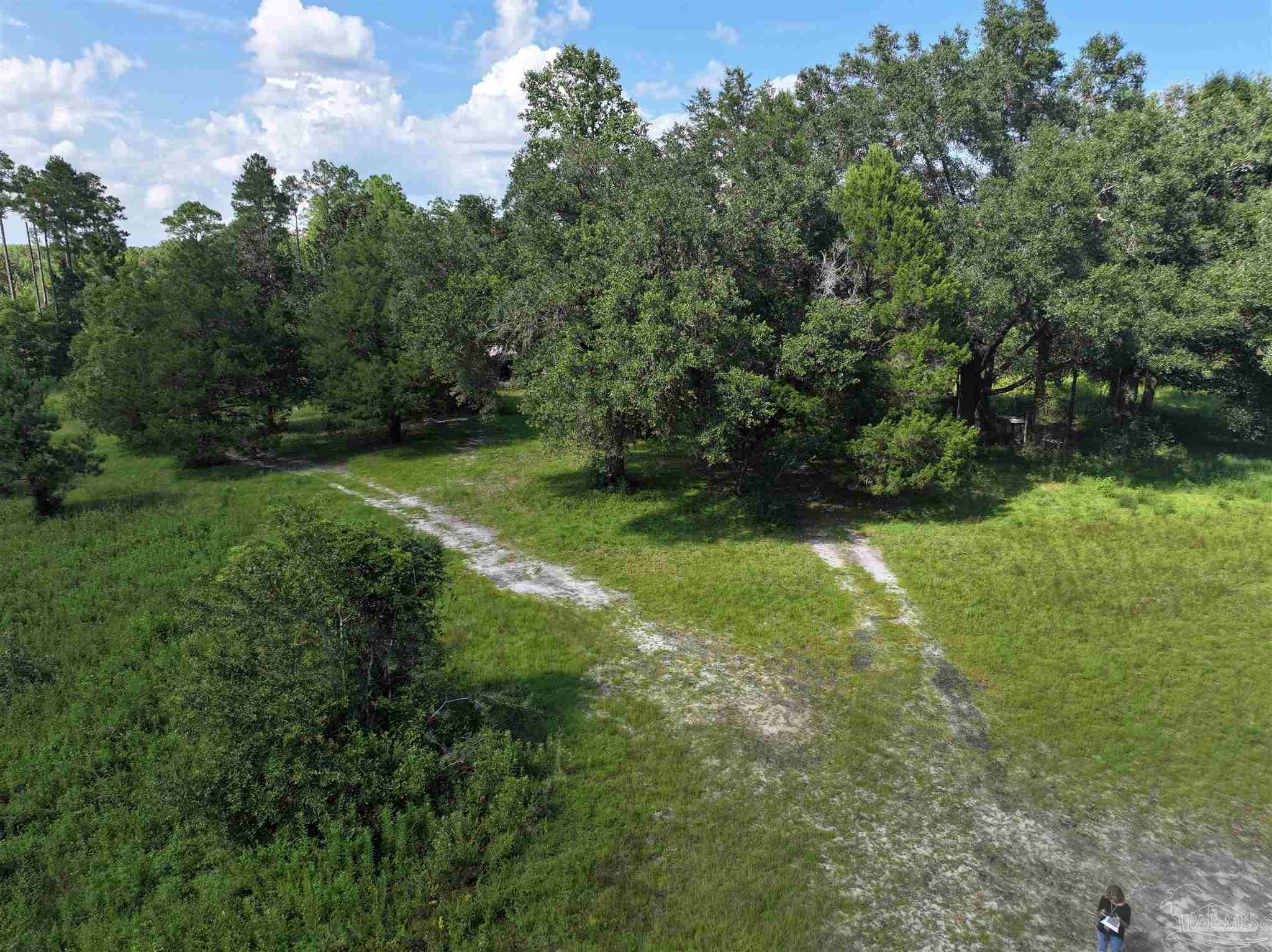 1647 Holmes Road Westville, FL 32464 - Photo 11 of 40