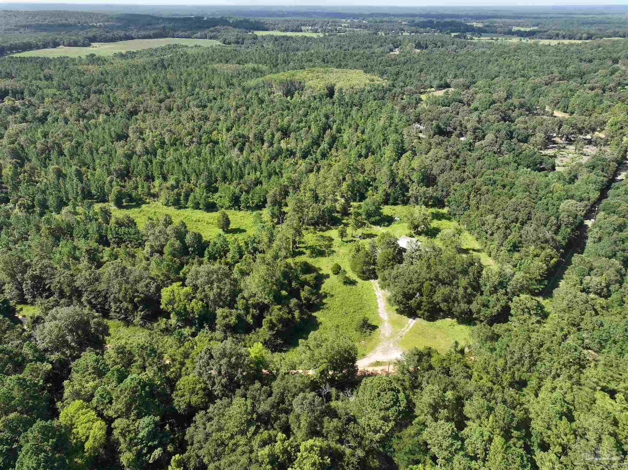 1647 Holmes Road Westville, FL 32464 - Photo 13 of 40