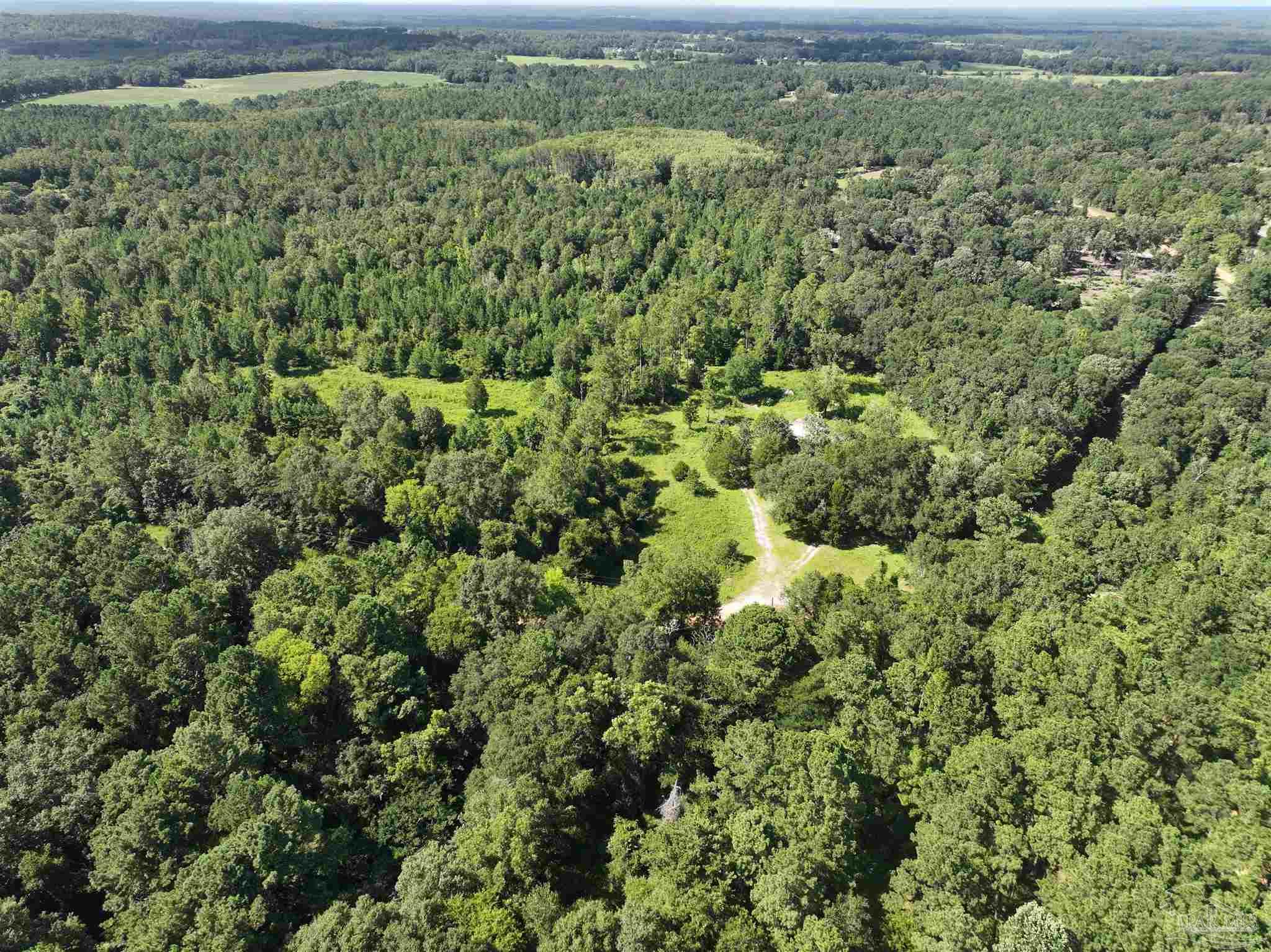 1647 Holmes Road Westville, FL 32464 - Photo 14 of 40