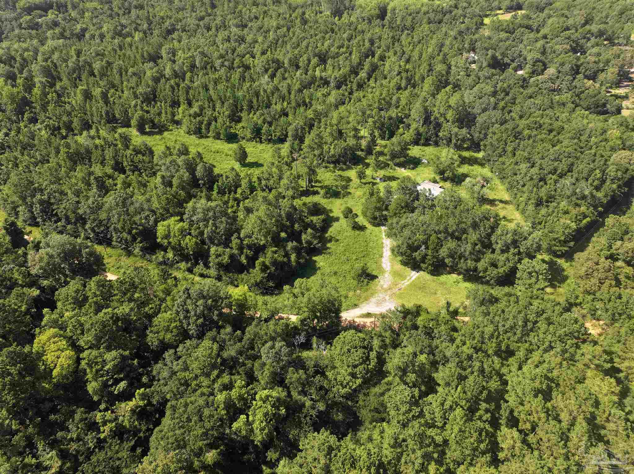 1647 Holmes Road Westville, FL 32464 - Photo 15 of 40