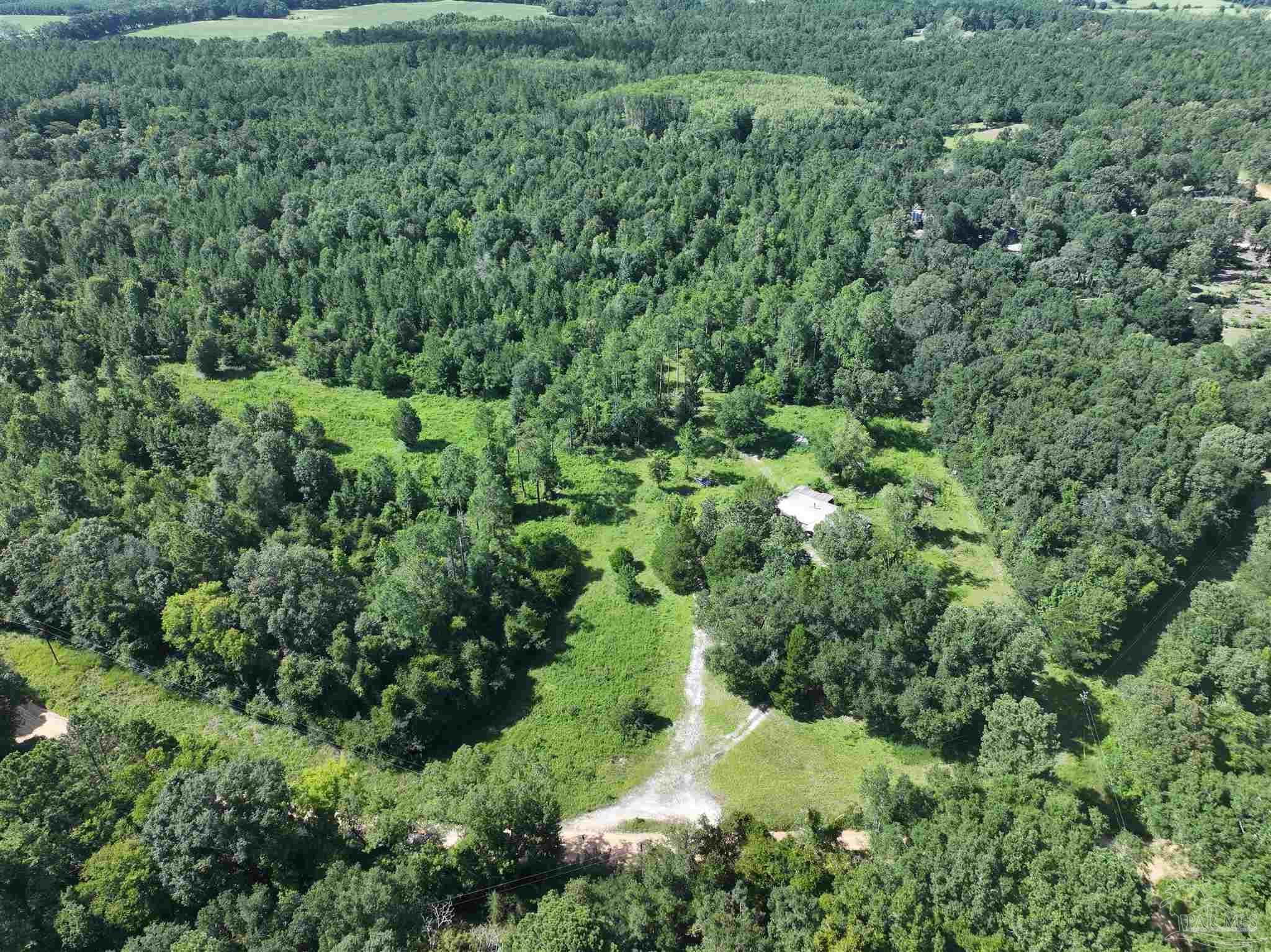 1647 Holmes Road Westville, FL 32464 - Photo 18 of 40