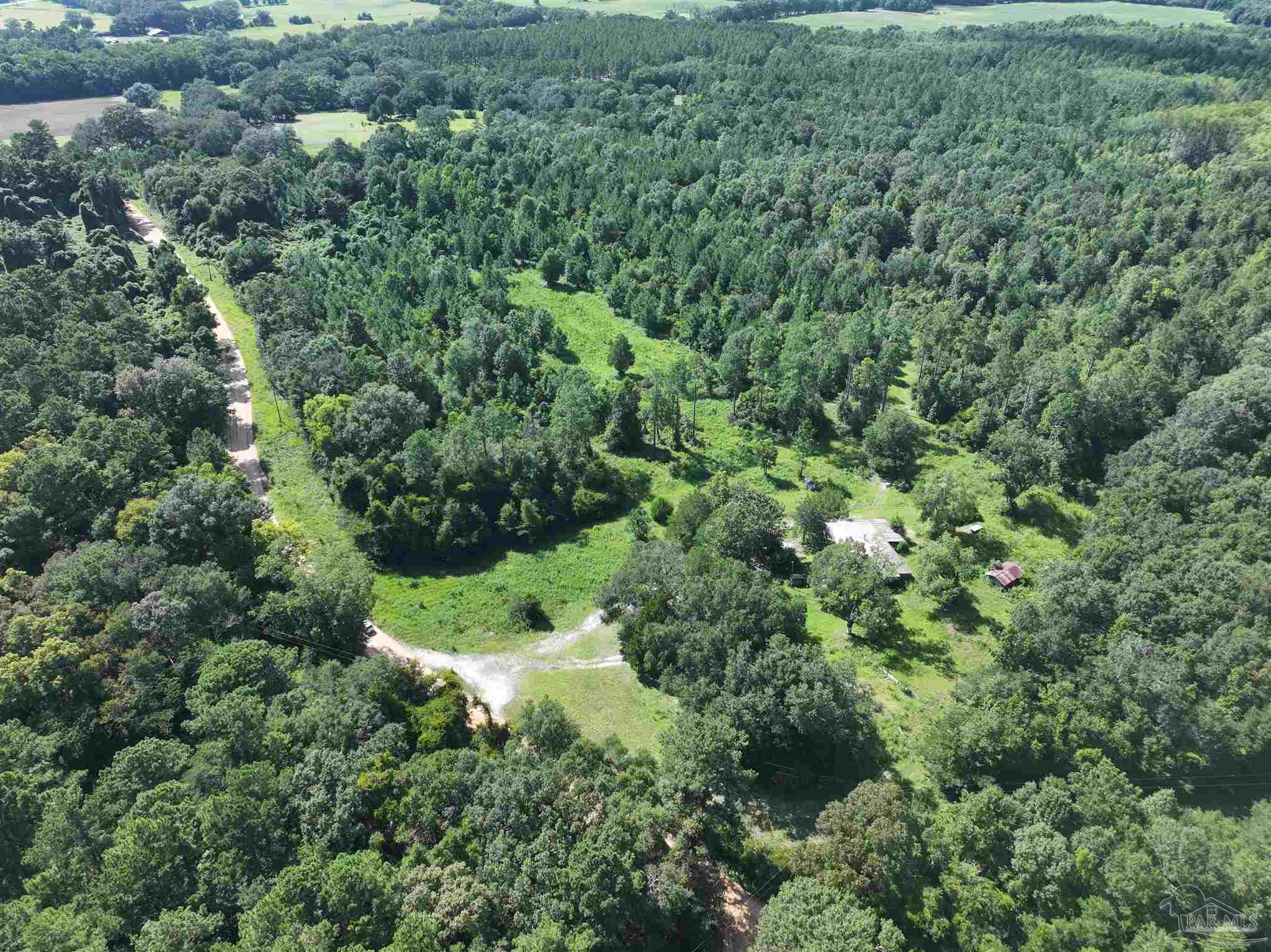 1647 Holmes Road Westville, FL 32464 - Photo 19 of 40