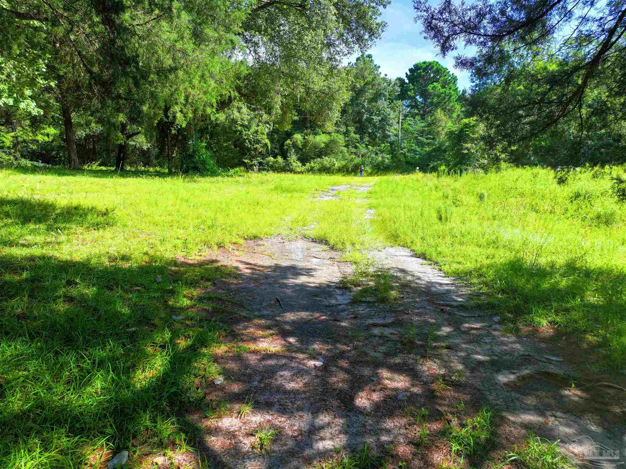 1647 Holmes Road Westville, FL 32464 - Photo 2 of 40