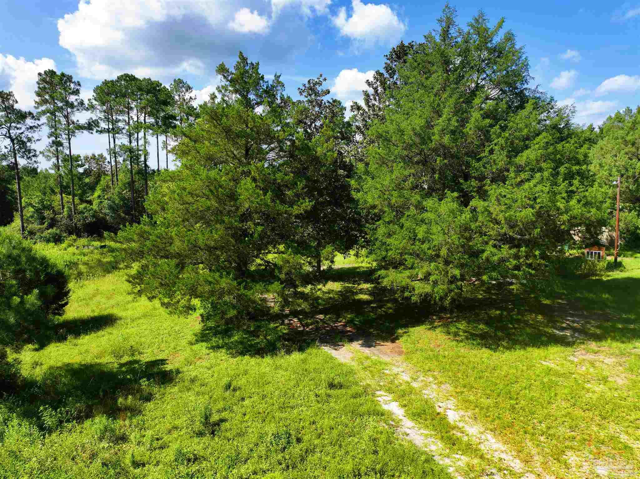 1647 Holmes Road Westville, FL 32464 - Photo 3 of 40