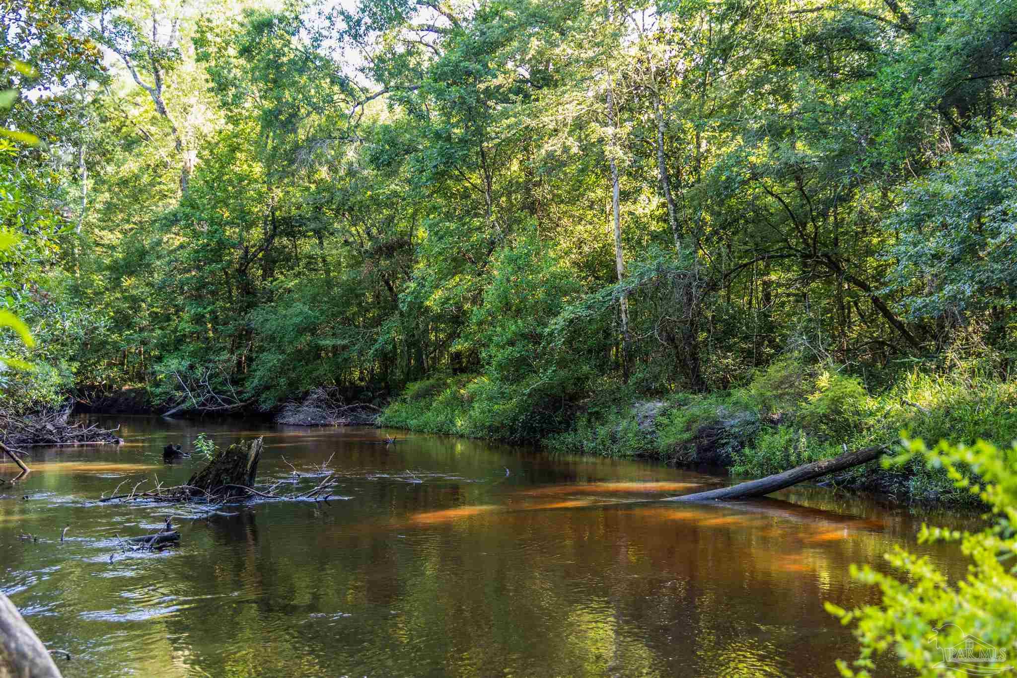 1647 Holmes Road Westville, FL 32464 - Photo 33 of 40