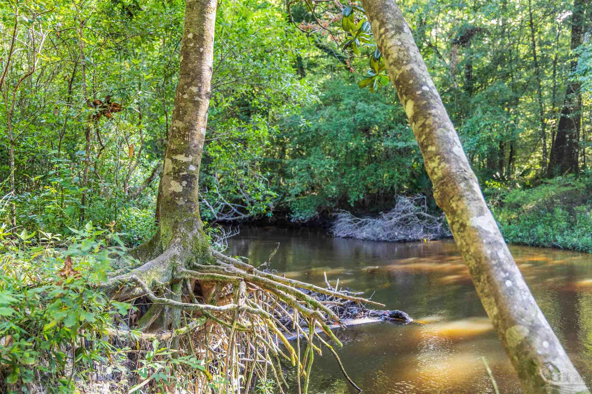 1647 Holmes Road Westville, FL 32464 - Photo 34 of 40