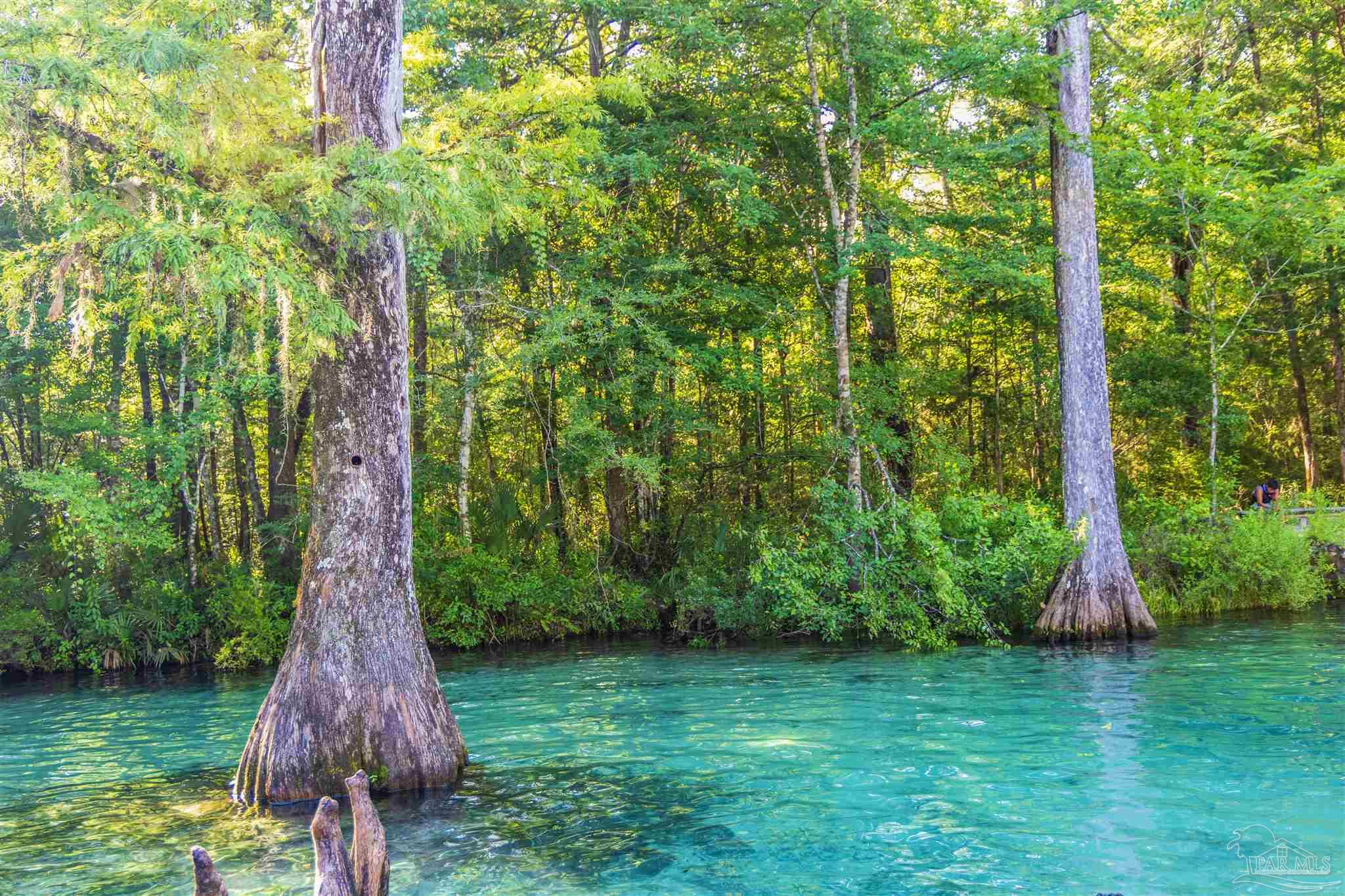 1647 Holmes Road Westville, FL 32464 - Photo 35 of 40