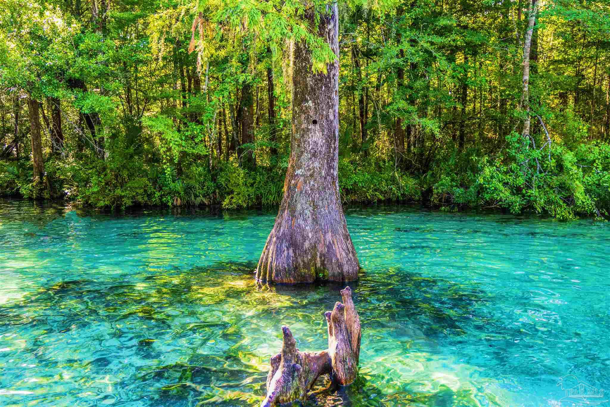 1647 Holmes Road Westville, FL 32464 - Photo 36 of 40