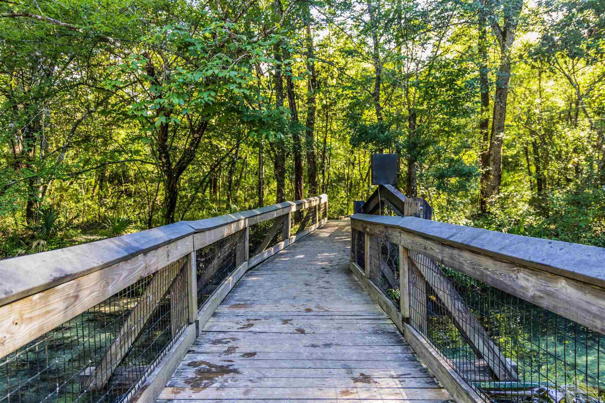 1647 Holmes Road Westville, FL 32464 - Photo 37 of 40