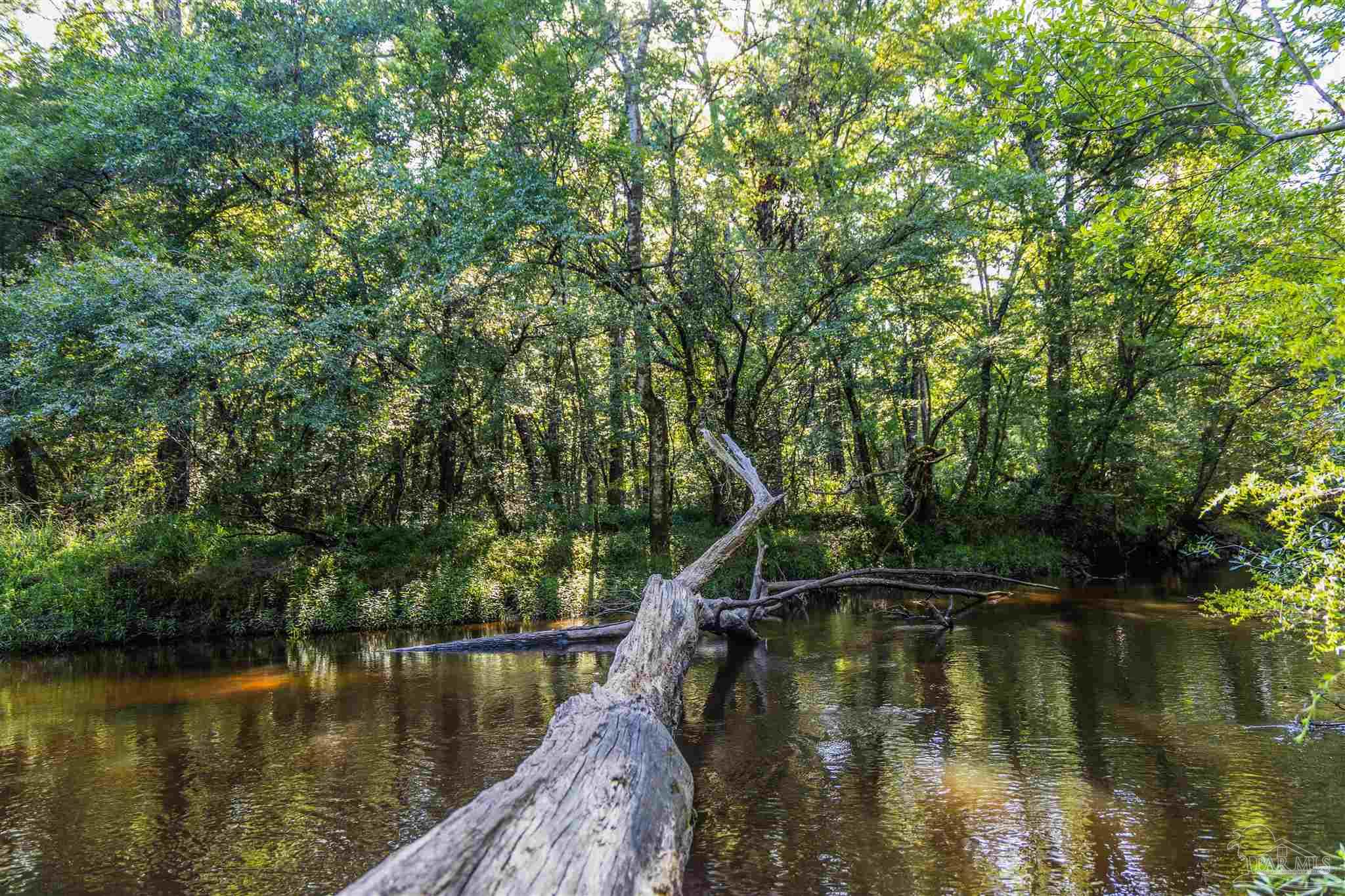 1647 Holmes Road Westville, FL 32464 - Photo 40 of 40