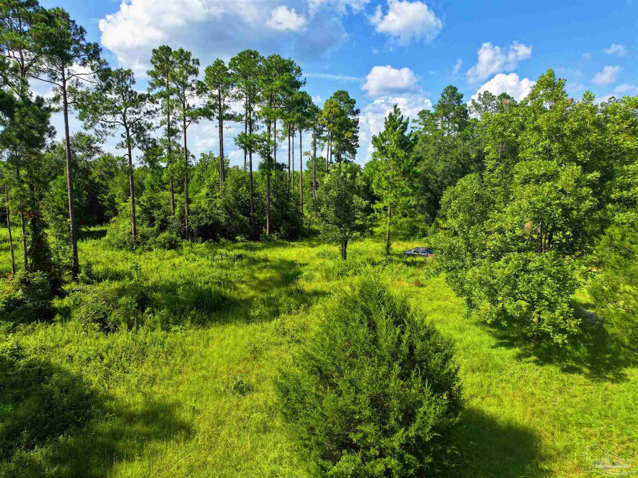 1647 Holmes Road Westville, FL 32464 - Photo 4 of 40