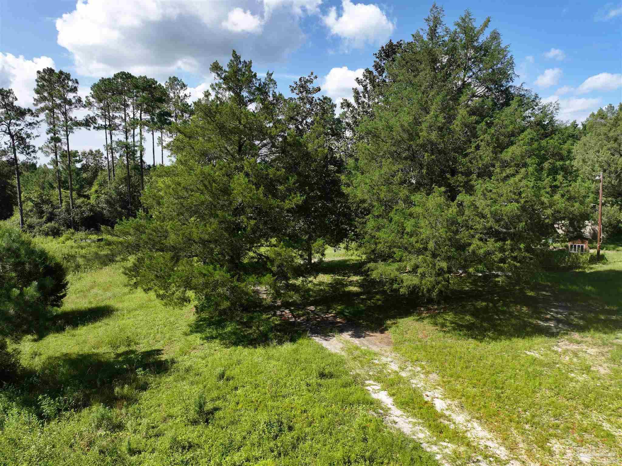 1647 Holmes Road Westville, FL 32464 - Photo 5 of 40