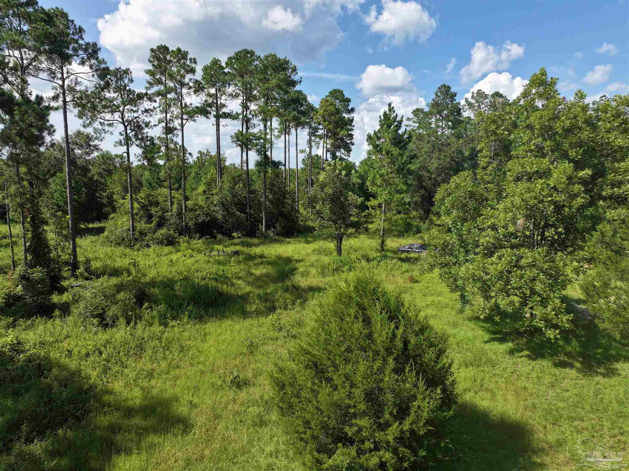 1647 Holmes Road Westville, FL 32464 - Photo 6 of 40