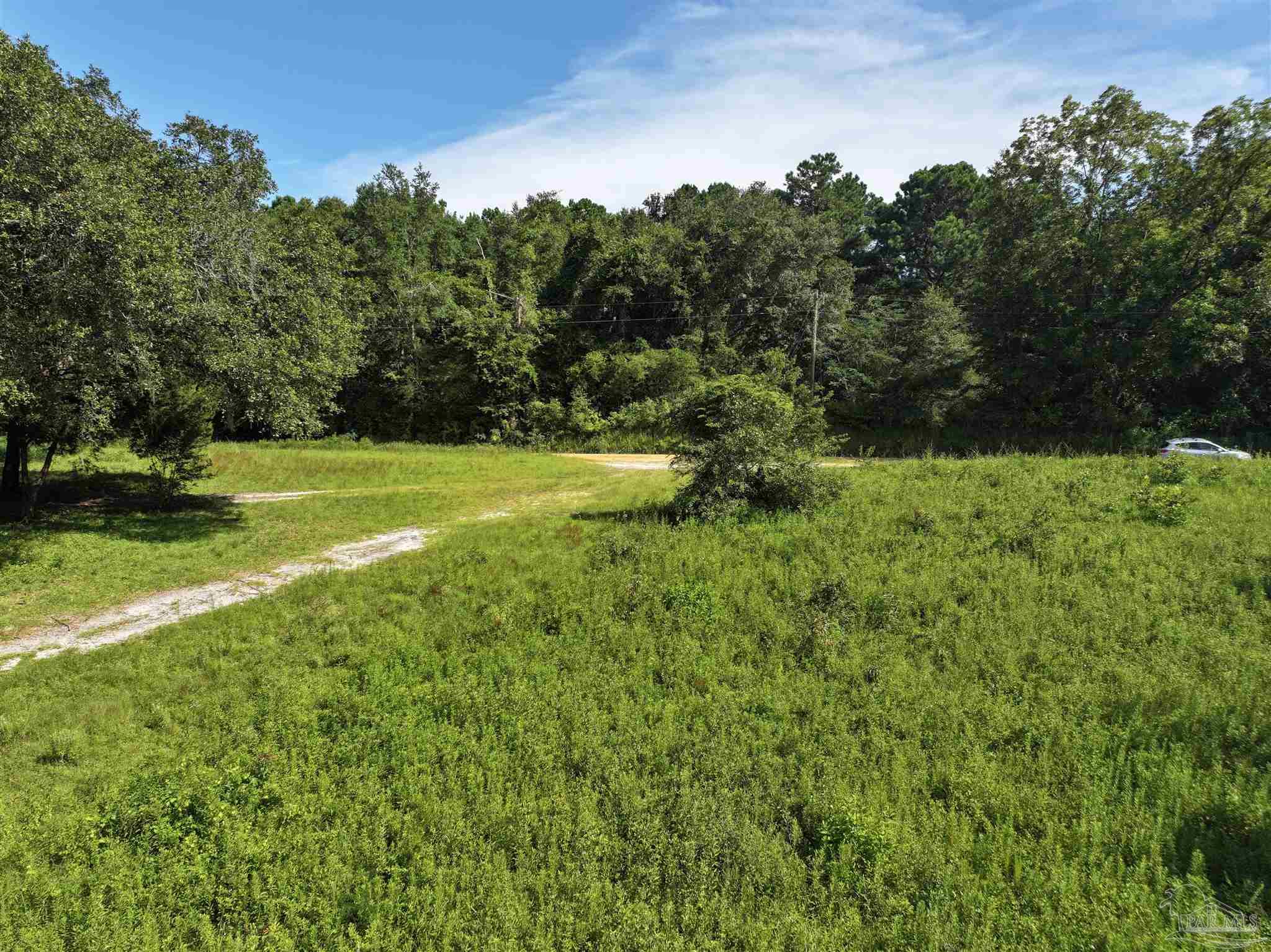 1647 Holmes Road Westville, FL 32464 - Photo 8 of 40